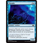Physalie