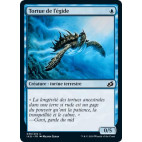 Tortue de l'égide