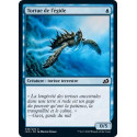 Tortue de l'égide