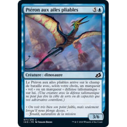 Ptéron aux ailes pliables