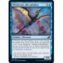Ptéron aux ailes pliables