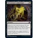 Barratement cadavérique