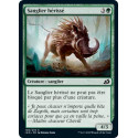 Sanglier hérissé