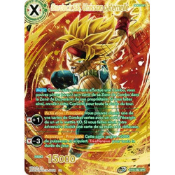 B10-062_SPR Bardock SS, Unisson paternelle