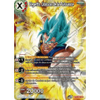 B10-003 Vegetto, Unisson de la Puissance