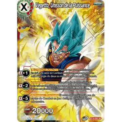 B10-003 Vegetto, Unisson de la Puissance