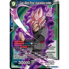 B10-050 Goku Black Rosé, Aspirations nobles