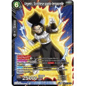BT10-132 Vegeks, Synthèse spatio-temporelle