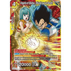 B10-146 Vegeta et Bulma, Réunis par le Destin