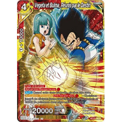 B10-146 Vegeta et Bulma, Réunis par le Destin
