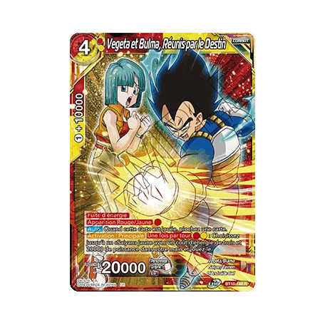 B10-146 Vegeta et Bulma, Réunis par le Destin