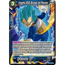 BT10-040 Vegeta SSB, Brasier de Passion