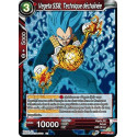 BT11-009 Vegeta SSB, Technique déchaînée