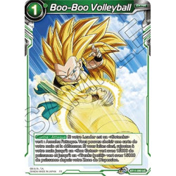 BT11-090 Boo-Boo Volleyball