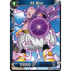 BT11-041 M. Boo