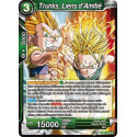 BT11-079 Trunks, Liens d'Amitié