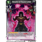 BT11-149 Absorption de Puissance sombre