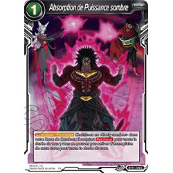 BT11-149 Absorption de Puissance sombre