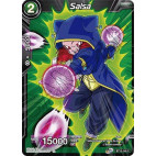 BT12-148 Salsa