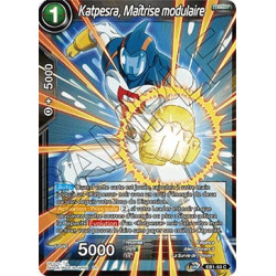 EB1-53 Katpesra, Maîtrise modulaire