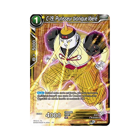 BT13-114 C-19, Punisseur bionique libéré