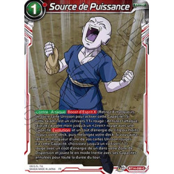 BT14-030 Source de Puissance