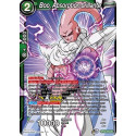 BT14-079 Boo, Absorption brillante