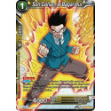 BT14-098 Son Gohan, le Bagarreur