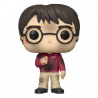 132 Harry Potter with The Stone