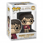 132 Harry Potter with The Stone