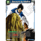 BT15-060 Secours du Maître