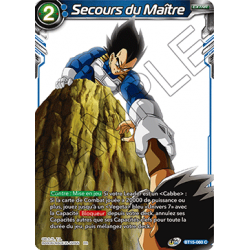 BT15-060 Secours du Maître