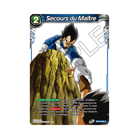 BT15-060 Secours du Maître