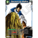 BT15-060 Secours du Maître