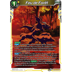 BT15-114 Feu de Forêt