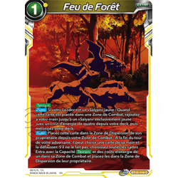 BT15-114 Feu de Forêt