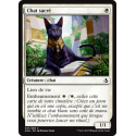 Chat sacré / Sacred Cat