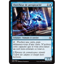 Chercheur de perspicacité / Seeker of Insight