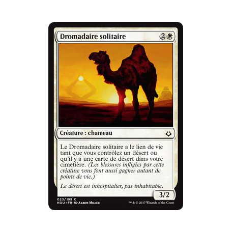 Dromadaire solitaire / Solitary Camel