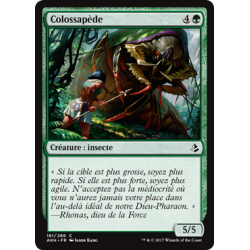 Colossapède / Colossapede
