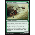 Araignée géante / Giant Spider
