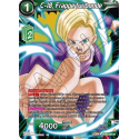 BT20-061 C-18, Frappe furibonde
