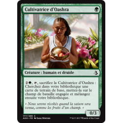 Cultivatrice d'Oashra / Oashra Cultivator