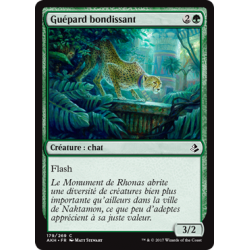 Guépard bondissant / Pouncing Cheetah