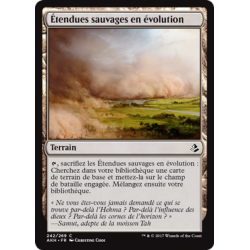 Étendues sauvages en évolution / Evolving Wilds