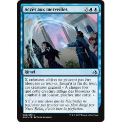 Accès aux merveilles / Open into Wonder