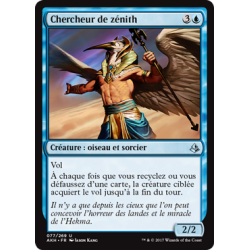 Chercheur de zénith / Zenith Seeker