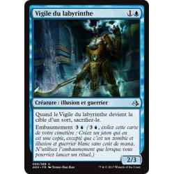 Vigile du labyrinthe / Vigile du labyrinthe
