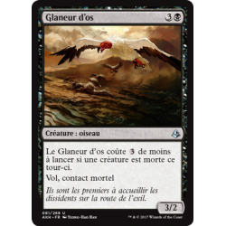 Glaneur d'os / Bone Picker