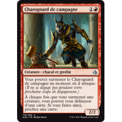 Charognard de campagne / Battlefield Scavenger